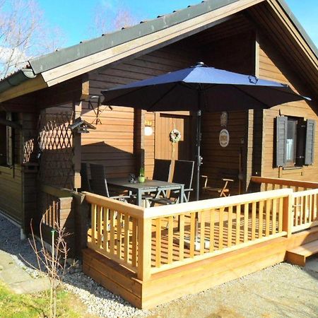 Komfortables-Ferienblockhaus-Nr-27-56-Qm-Bis-4-Personen-Viechtach-Jaegerpark 外观 照片